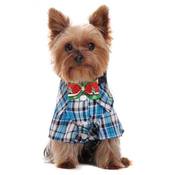 piesek w świątecznej muszce