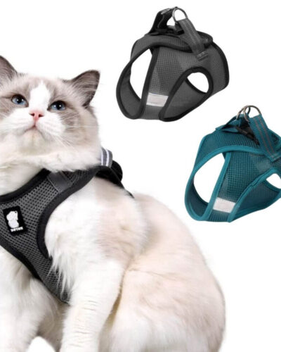 Bezuciskowe szelki dla kota FELIKS