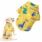 Kolorowa bluza dla psa POMPOM