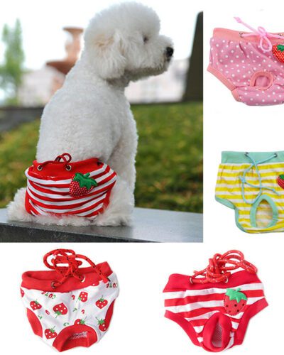 Majtki dla psa STRAWBERRY