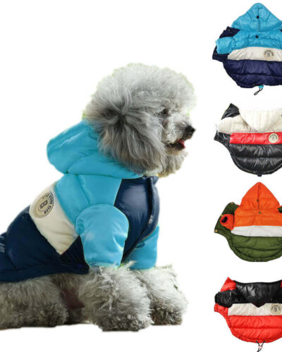 Ocieplana kurtka dla psa BINGO