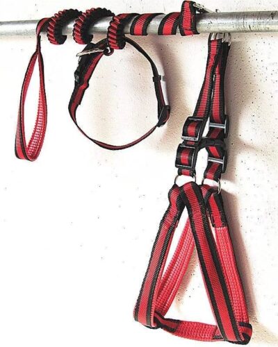 Zestaw szelki obroża smycz BONSI