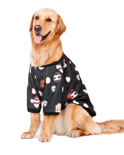 Bluza bejsbolówka dla dużego psa INSECT