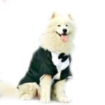 Elegancki smoking z muszką dla dużego psa ELEGANT