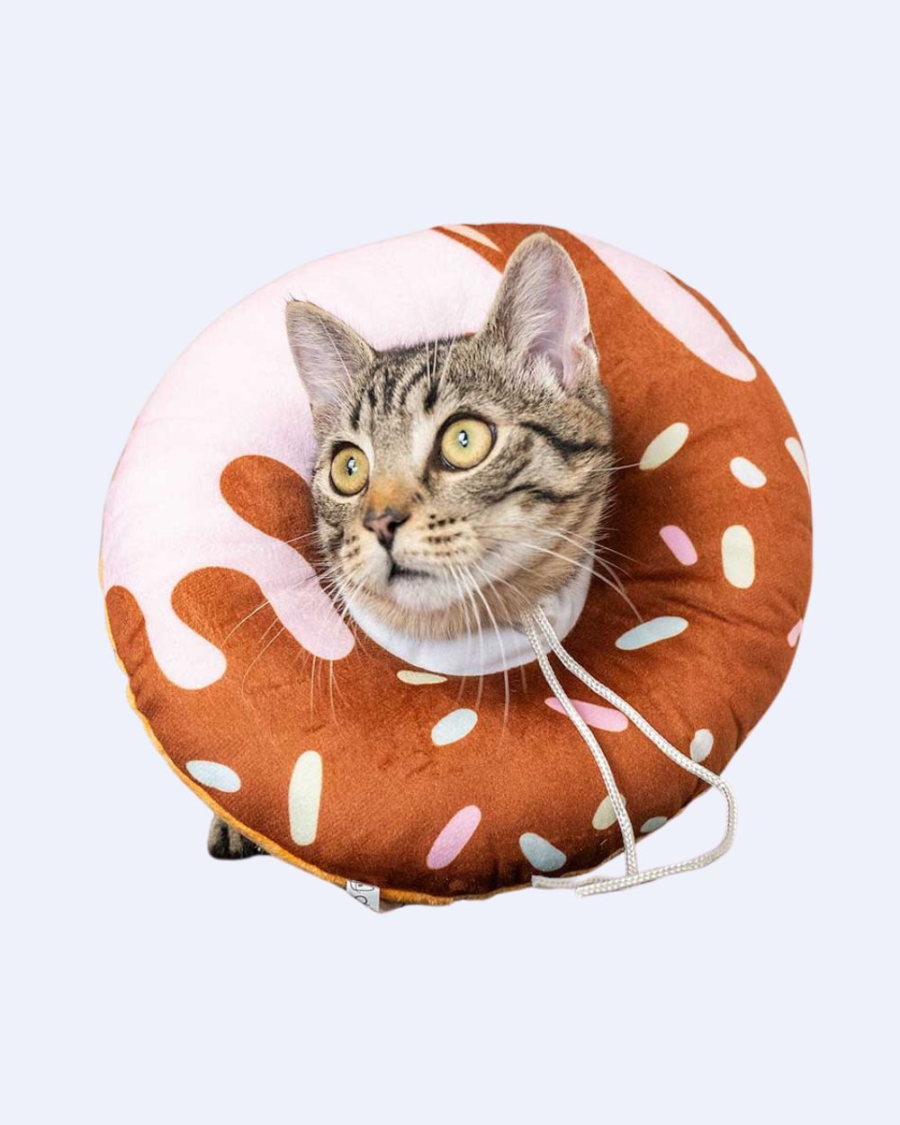 xr:d:DAFp1VpPHxE:658,j:4282219087661102256,t:24031510 Uroczy kołnierz pooperacyjny dla kota DONUT MIL - obrazek 1