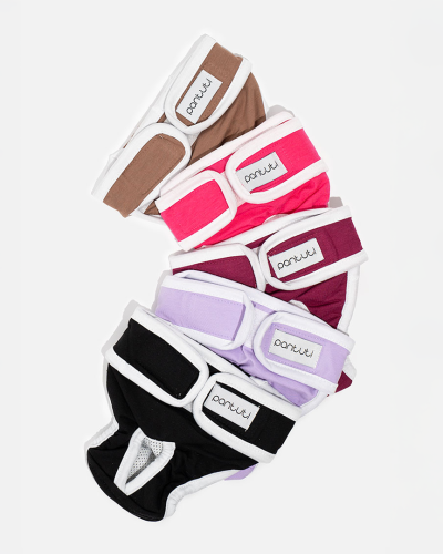 Gładkie majtki dla psa suczki NATALA