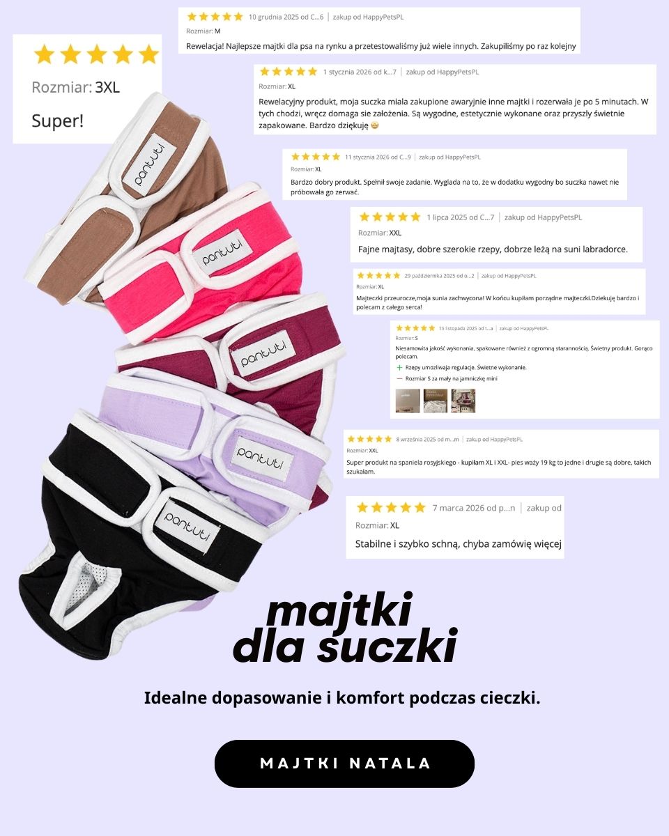 strona petinio glowna1