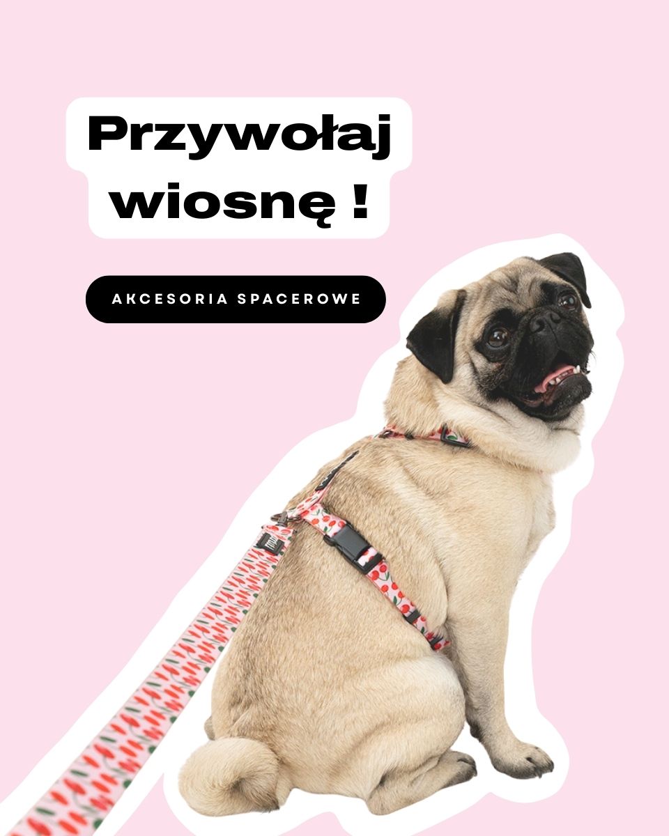 strona petinio glowna2